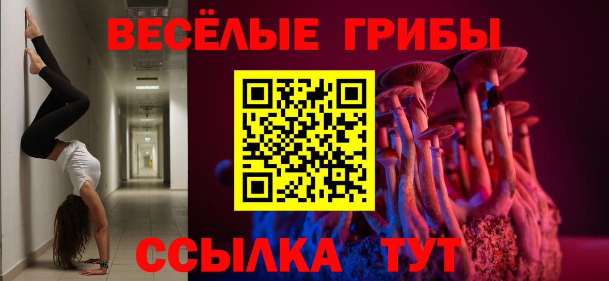 Псилоцибиновые грибы Psilocybine cubensis Полевской
